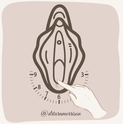 Pelvic clock with a finger pressing gently at 6:00